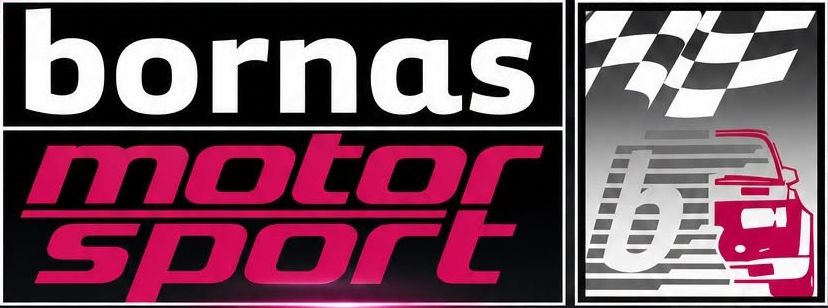 Logo de Bornas Sanchez